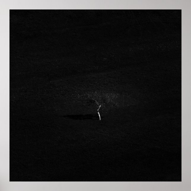 Minimalistic lonely tree in black and white poster (Front)