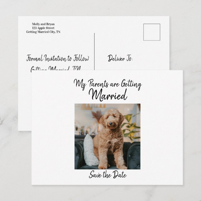 Minimalistic Save the Date from the Dog Announcement Postcard (Front/Back)