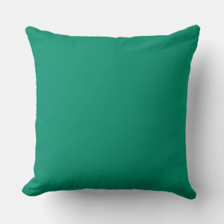 Minimalistic simple plain beautiful green colour cushion