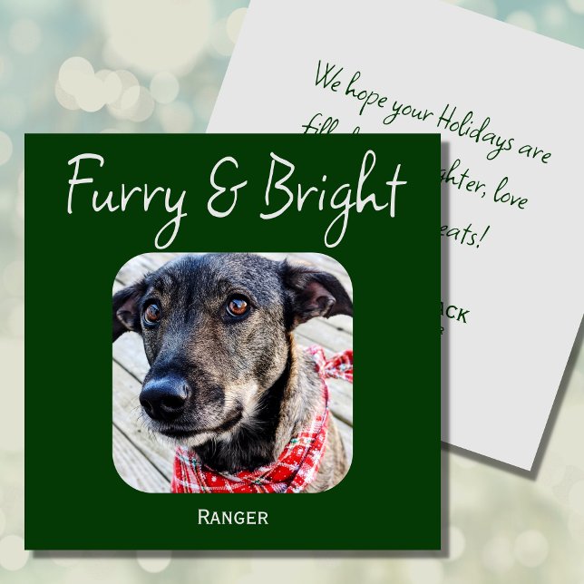 Minimimalistic Green Pet Photo Christmas Card (Creator Uploaded)