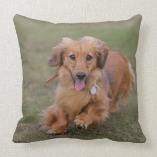 Miniture Dachshund Running Cushion