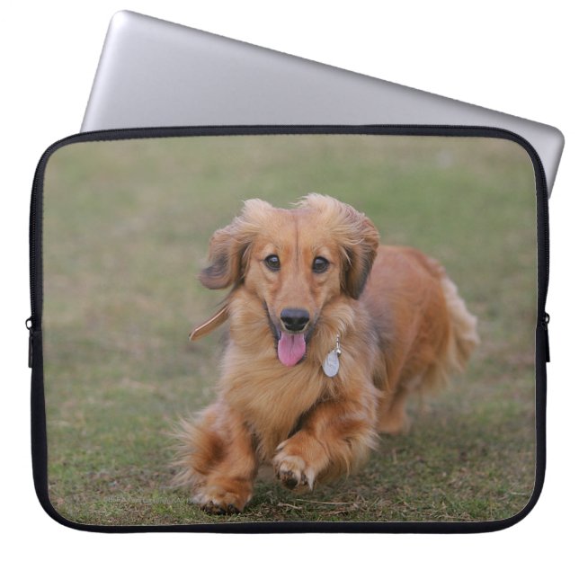Miniture Dachshund Running Laptop Sleeve (Front)