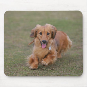 Miniture Dachshund Running Mouse Mat