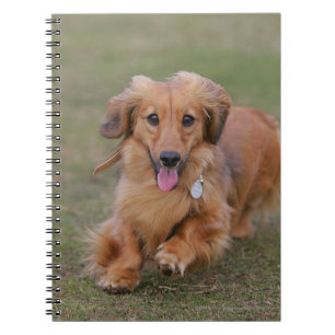 Miniture Dachshund Running Notebook