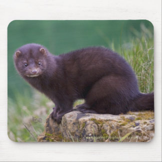 Mink Mousemat