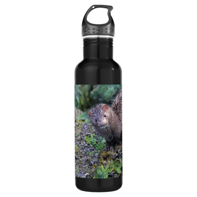 Mink Photo Closeup 710 Ml Water Bottle (Front)