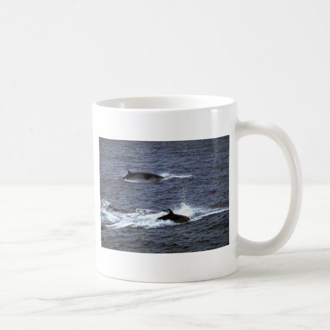 Minke whale coffee mug (Right)