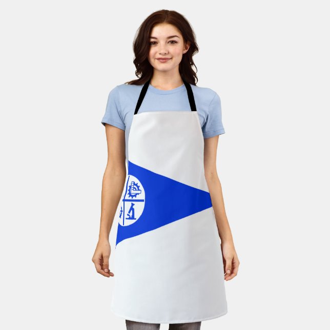 Minneapolis City flag Apron (Worn)