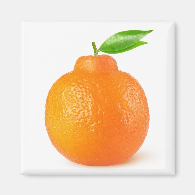 Minneola tangelo citrus fruit magnet (Front)