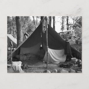 Minnesota Blueberry Pickers, 1937 Postcard