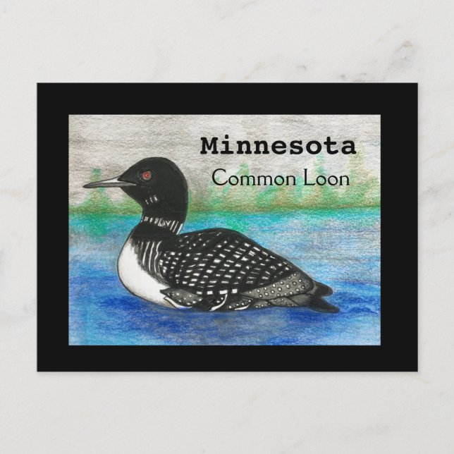 Minnesota Common Loon State Bird Postcard (Front)