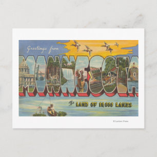 Minnesota (Ducks) - Large Letter Scenes Postcard