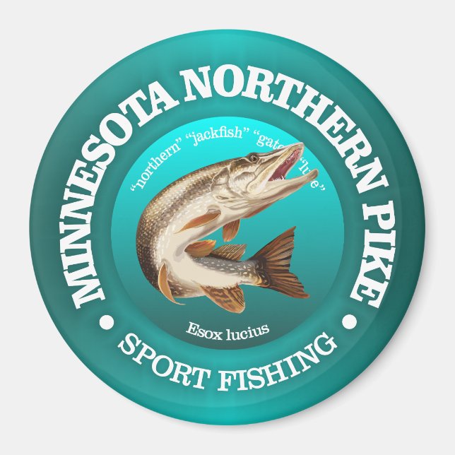 Minnesota Pike Fishing Magnet (Front)