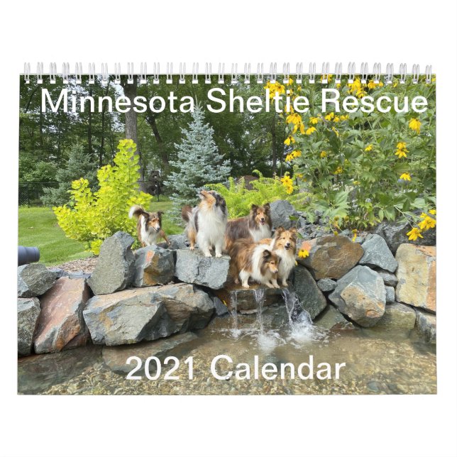 Minnesota Sheltie Rescue 2021 Calendar (Cover)