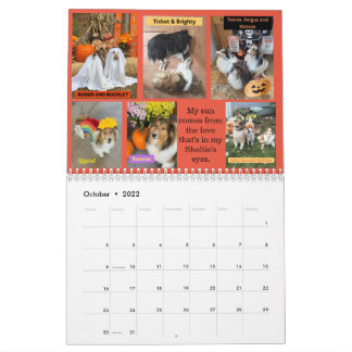 Minnesota Sheltie Rescue 2022 Calendar