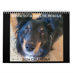 MINNESOTA SHELTIE RESCUE 2024 CALENDAR