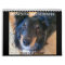 MINNESOTA SHELTIE RESCUE 2024 CALENDAR