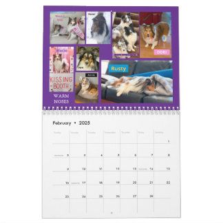 Minnesota Sheltie Rescue Calendar 2025