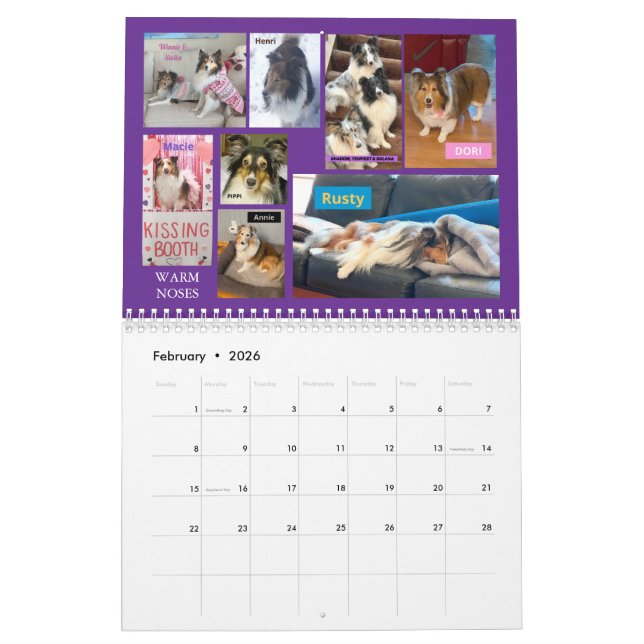 Minnesota Sheltie Rescue Calendar 2025 (Feb 2026)