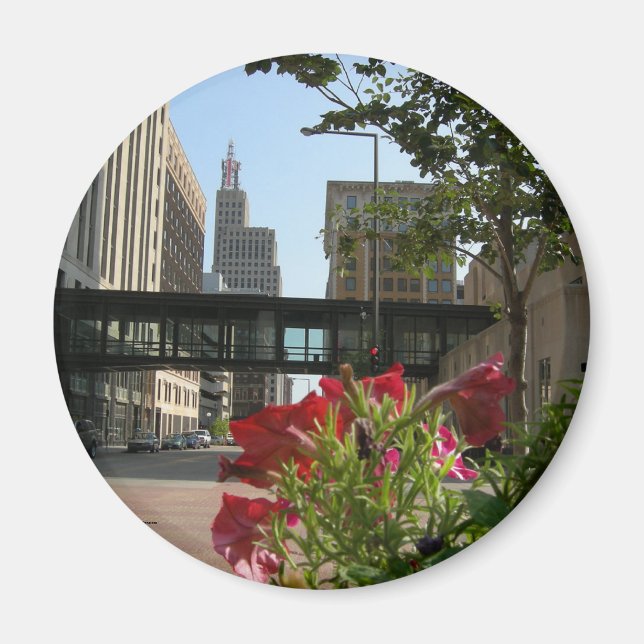 Minnesota, St. Paul refrigerator magnet (Front)