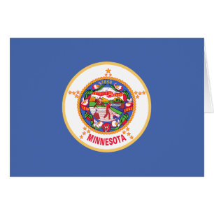 Minnesota State Flag