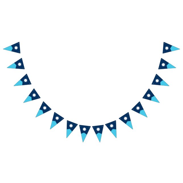 Minnesota State Flag Pennant Bunting (All)