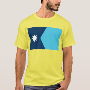 Minnesota State Flag T-Shirt