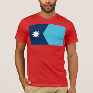 Minnesota State Flag T-Shirt