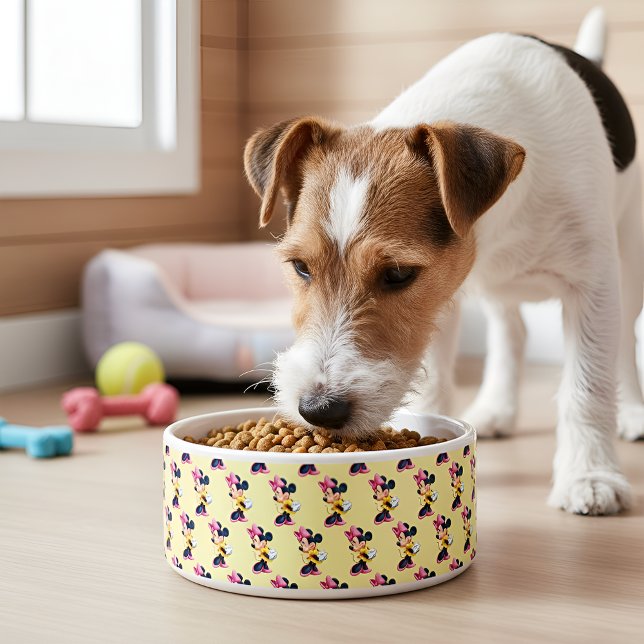 Minni Bowl (Creator Uploaded)