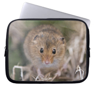 Minnie Laptop Sleeve