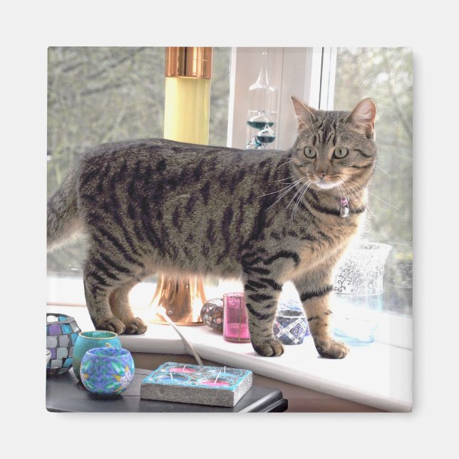 Minnie Magnet (Front)