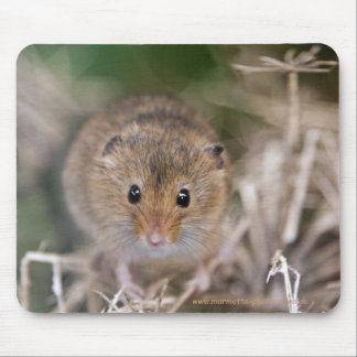 Minnie Mousemat