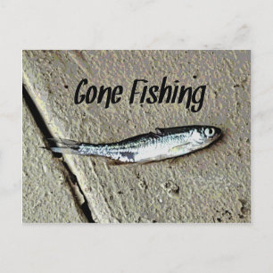 Minnow Bait "Gone Fishing" Postcard
