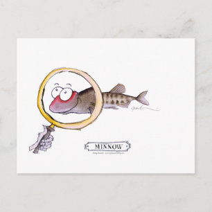 Minnow fish, tony fernandes postcard