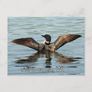 Minocqua, WI postcard souvenir