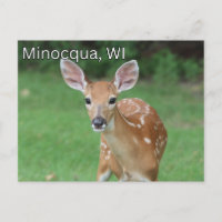 Minocqua Wisconsin Postcard Souvenir