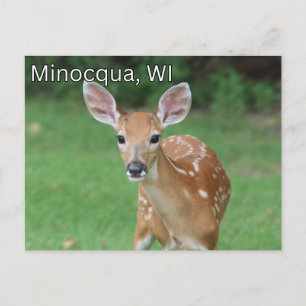 Minocqua Wisconsin Postcard Souvenir