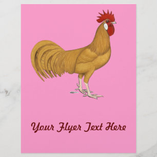 Minorca:  Buff Rooster Flyer