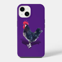 Minorca Rooster