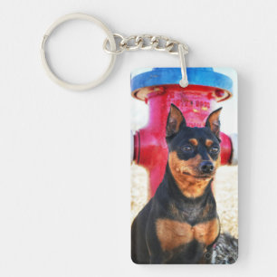 MInPin Fire Hydrant Key Ring