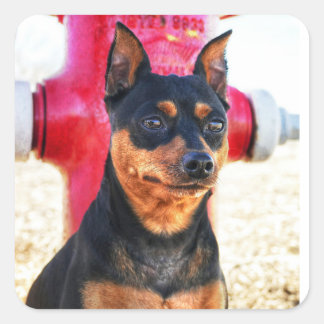 MinPinOne Square Sticker