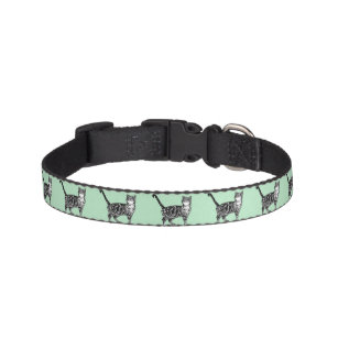 Mint Black White Tabby Cat cats Dog dogs Collar