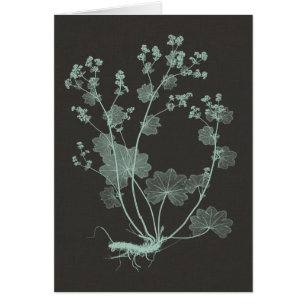 Mint & Charcoal Nature Study I