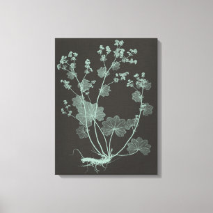 Mint & Charcoal Nature Study I Canvas Print