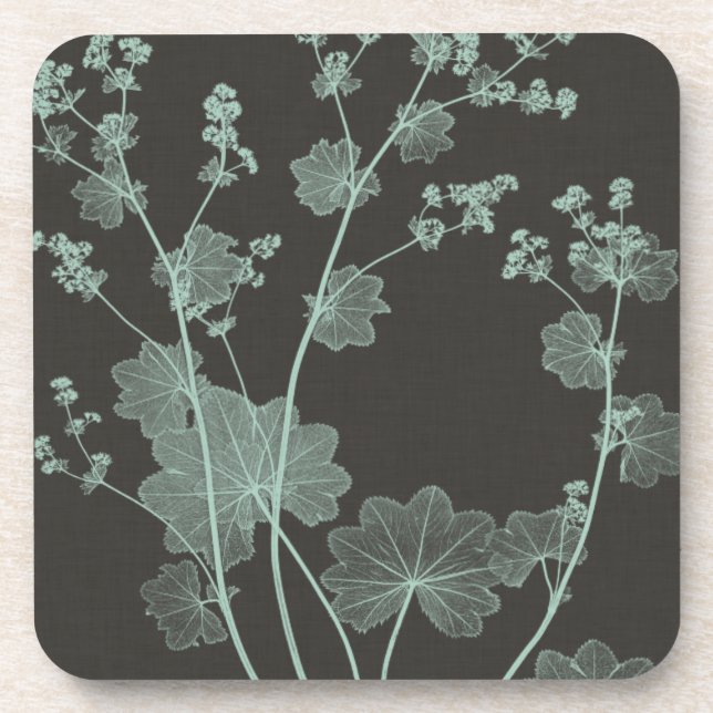 Mint & Charcoal Nature Study I Coaster (Front)