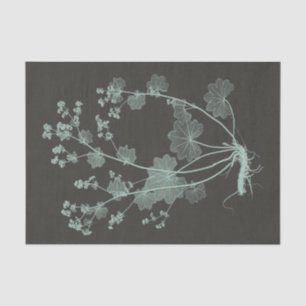 Mint & Charcoal Nature Study I Tissue Paper