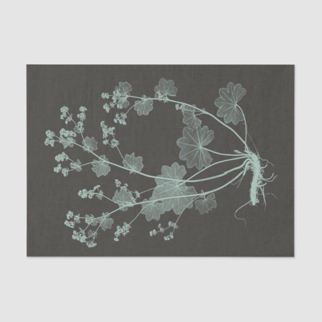 Mint & Charcoal Nature Study I Tissue Paper (Front)