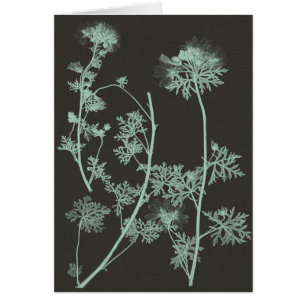 Mint & Charcoal Nature Study IV