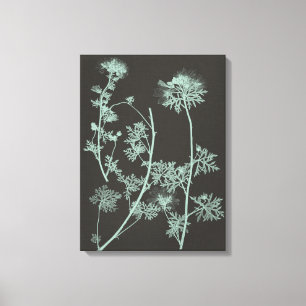 Mint & Charcoal Nature Study IV Canvas Print