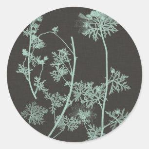 Mint & Charcoal Nature Study IV Classic Round Sticker